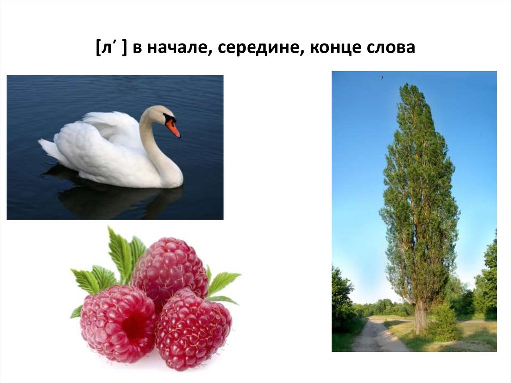 Начало середина. Начало середина конец. П В начале середине и конце слова. Начало середина конец слова. П В конце слова картинки.