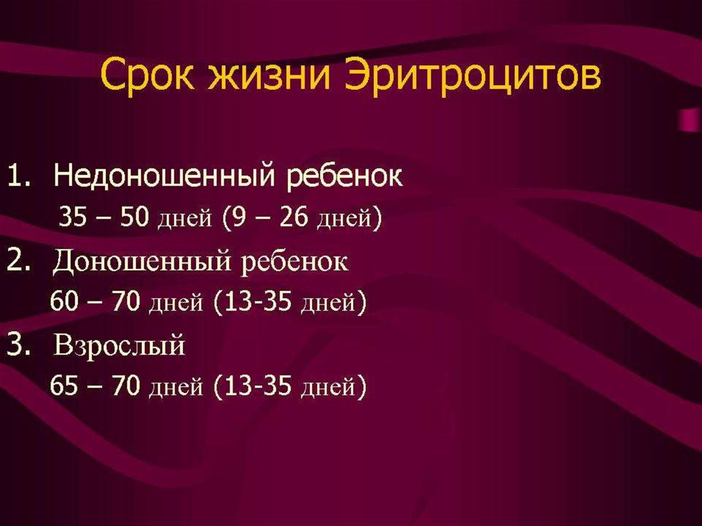 Продолжительность жизни эритроцитов. Продолжительность жизни эритроцитов у детей. Длительность жизни эритроцитов. Длительность жизни эритроцитов у новорожденных.