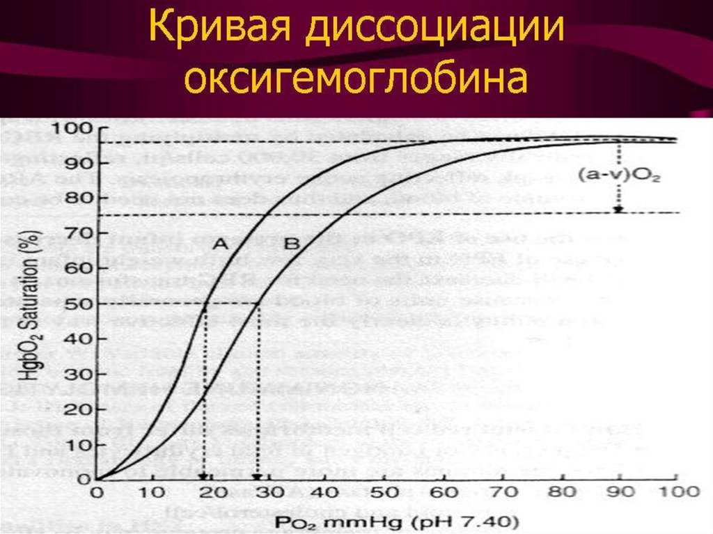 Диссоциация оксигемоглобина