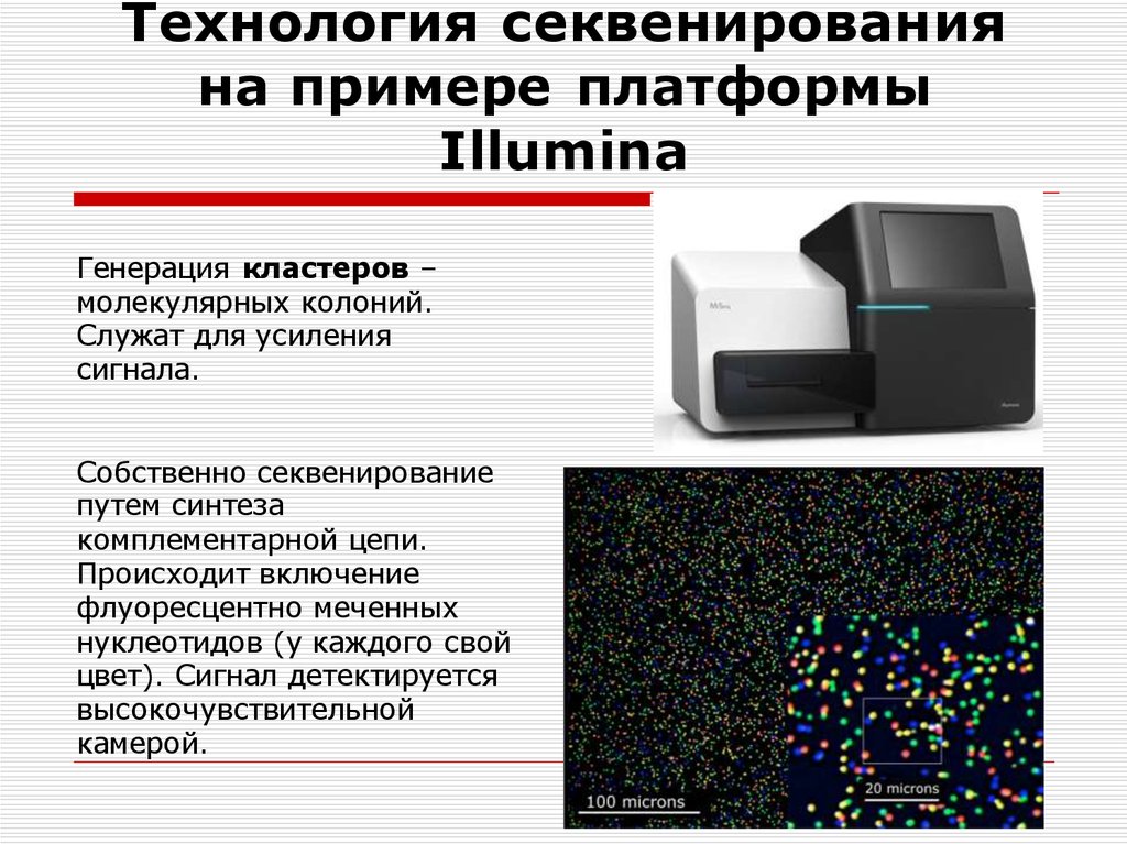 Где человек может применить результаты секвенирования