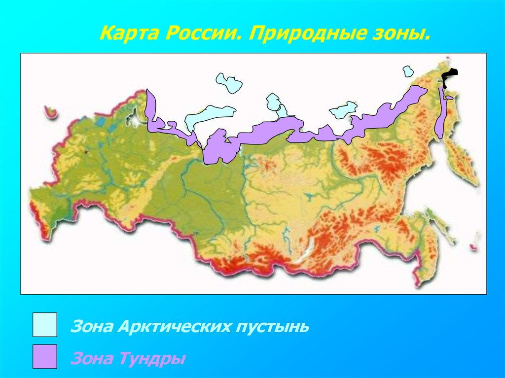 Тундры расположена. Арктическая пустыня природная зона на карте.