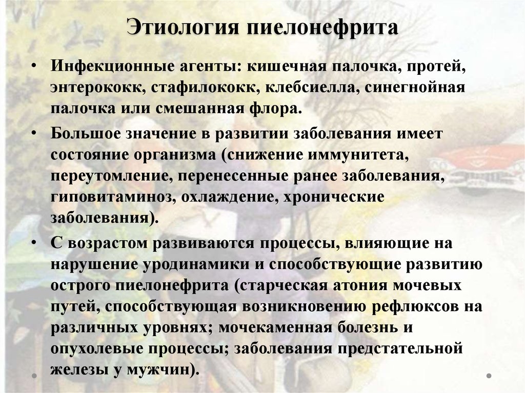 Острый пиелонефрит этиология. Пиелонефрит этиология. Этиология гамилонефрита. Пиелонефрит этиология и патогенез.