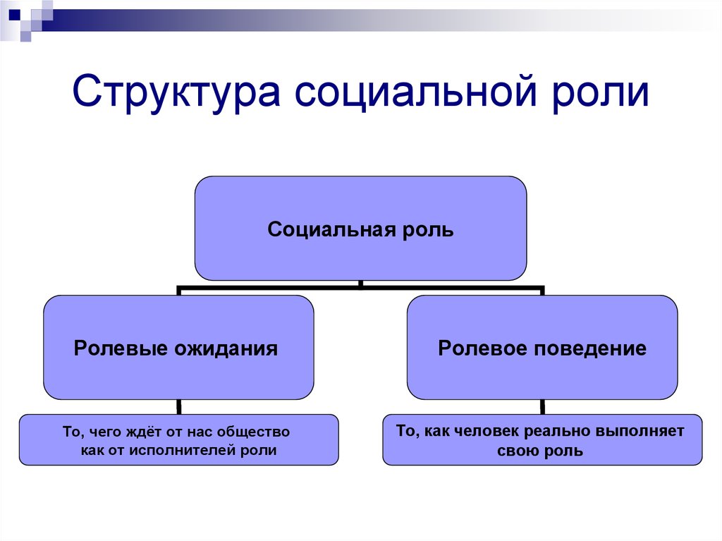 Индивидуальная социальная роль. Структура социальной роли. Элементы социальной роли. Какова структура социальной роли?. Социальная структура социальной роли.