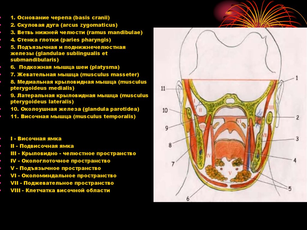 Пространства полости рта. Окологлоточные клетчаточные пространства головы. Клетчаточные пространства дна ротовой полости. Надкрыловидное клетчаточное пространство. Окологлоточное пространство анатомия.