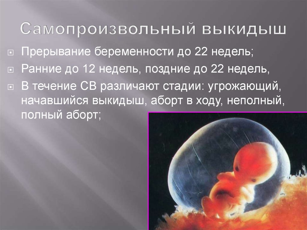 Прерывание беременности 3 недели. Самопроизвольный выкидыш на раннем. 12 Недель беременности. Человеческий зародыш выкидыш. Прерывание беременности на ранних сроках эмбрион.