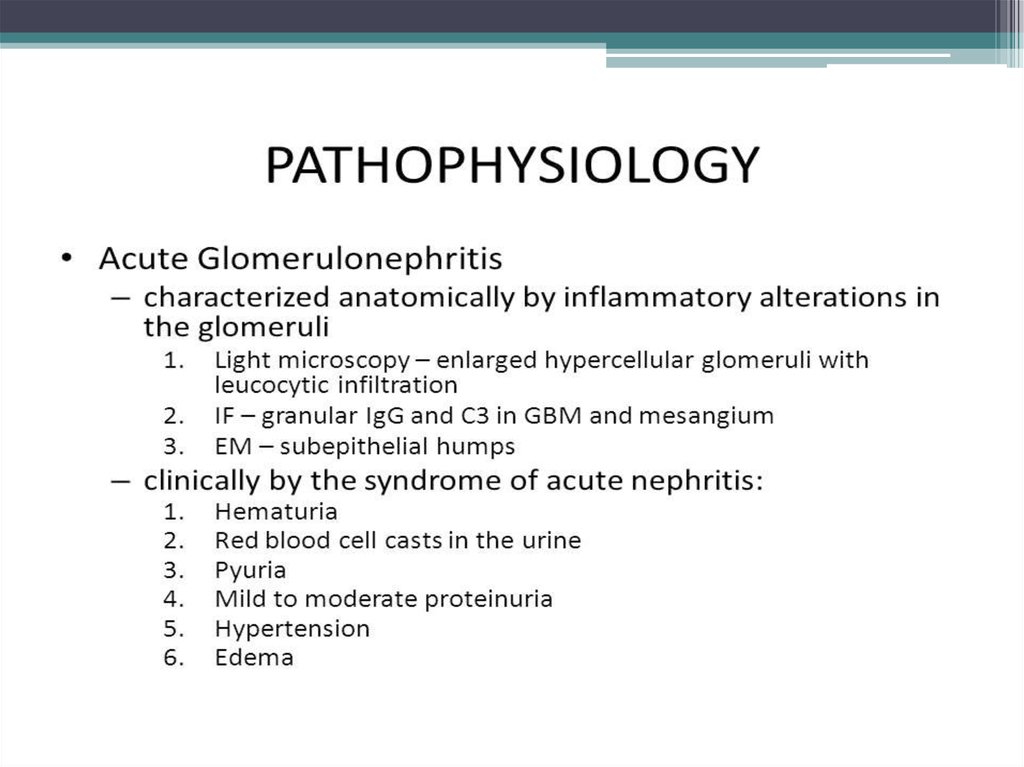 Acute and chronic glomerulonephritis - online presentation