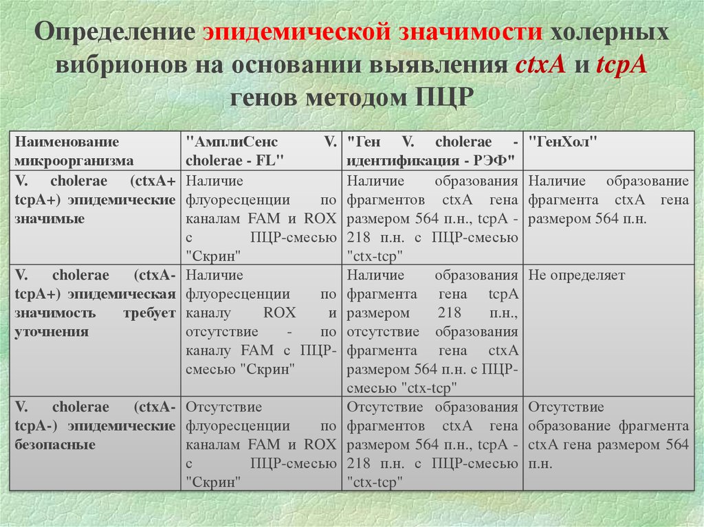 Фрагмент образования