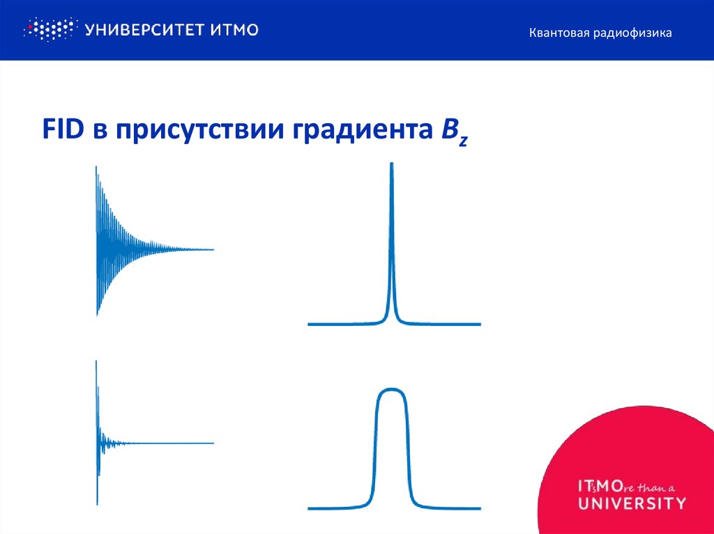 FID в присутствии градиента Bz