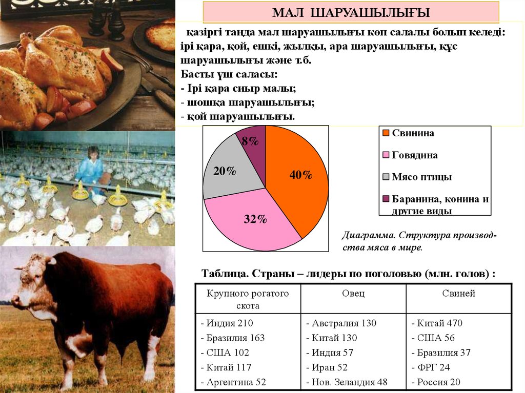 Значение место отрасли в структуре сельского хозяйства. Сельское хозяйство мира таблица. Сельское хозяйство и мир. География животноводства мира. Отрасли сельского хозяйства мира.