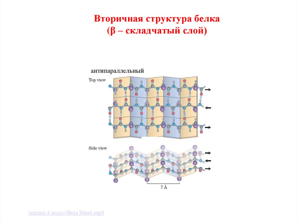 Вторичная структура какие связи