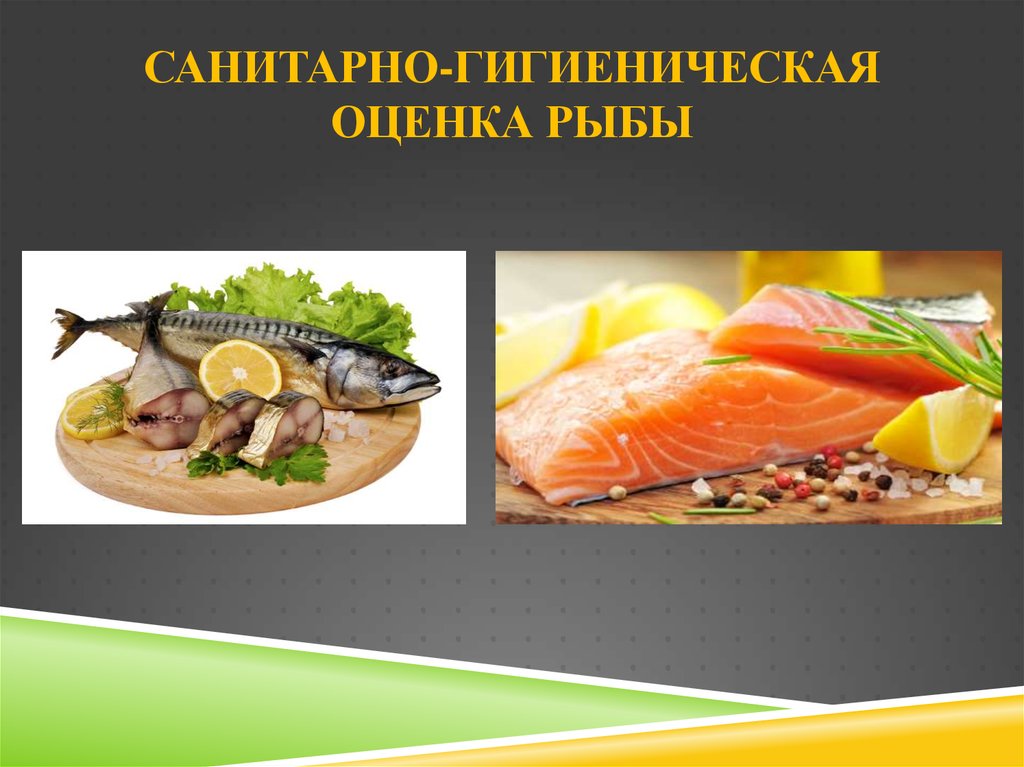 Оценка качества рыбы. Санитарная оценка рыбы. Органолептическая оценка рыбы и рыбных продуктов. Гигиенические показатели рыбы.