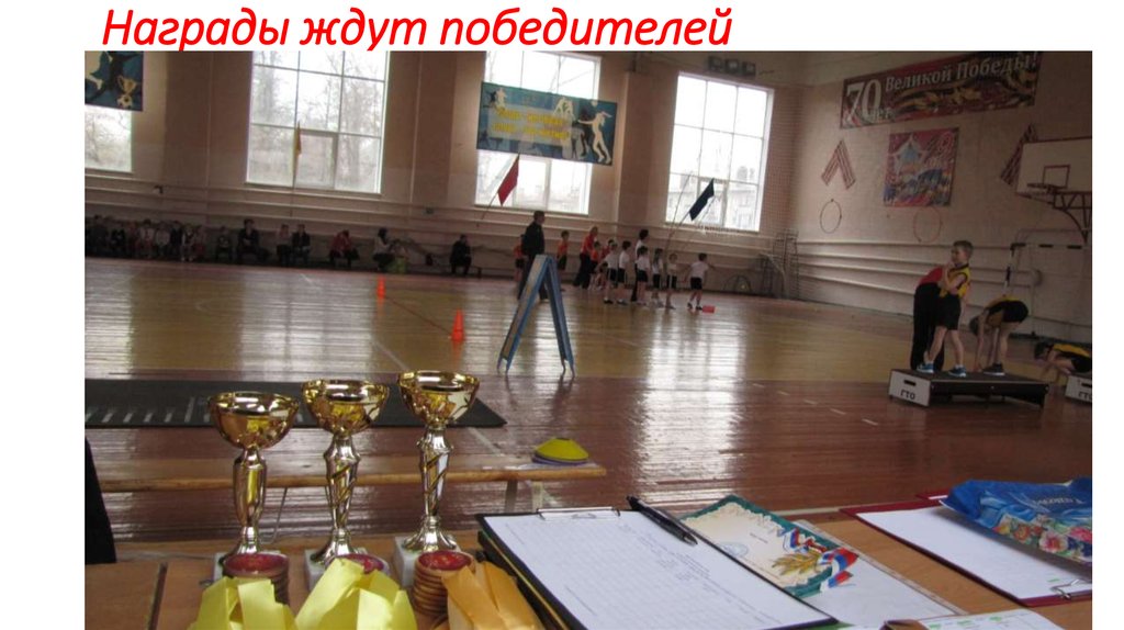 Награды ждут победителей