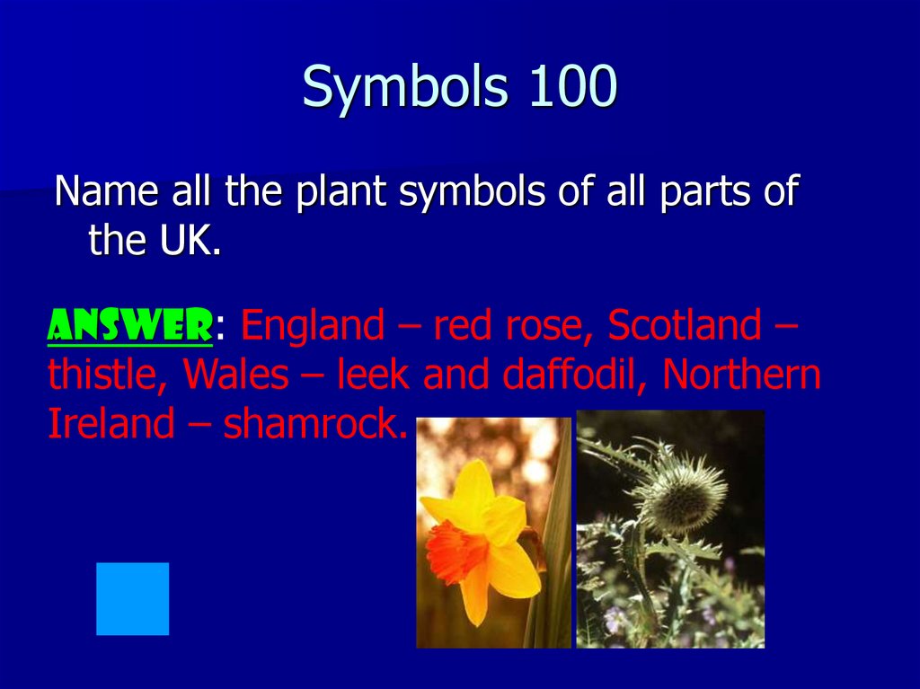 Symbols 100