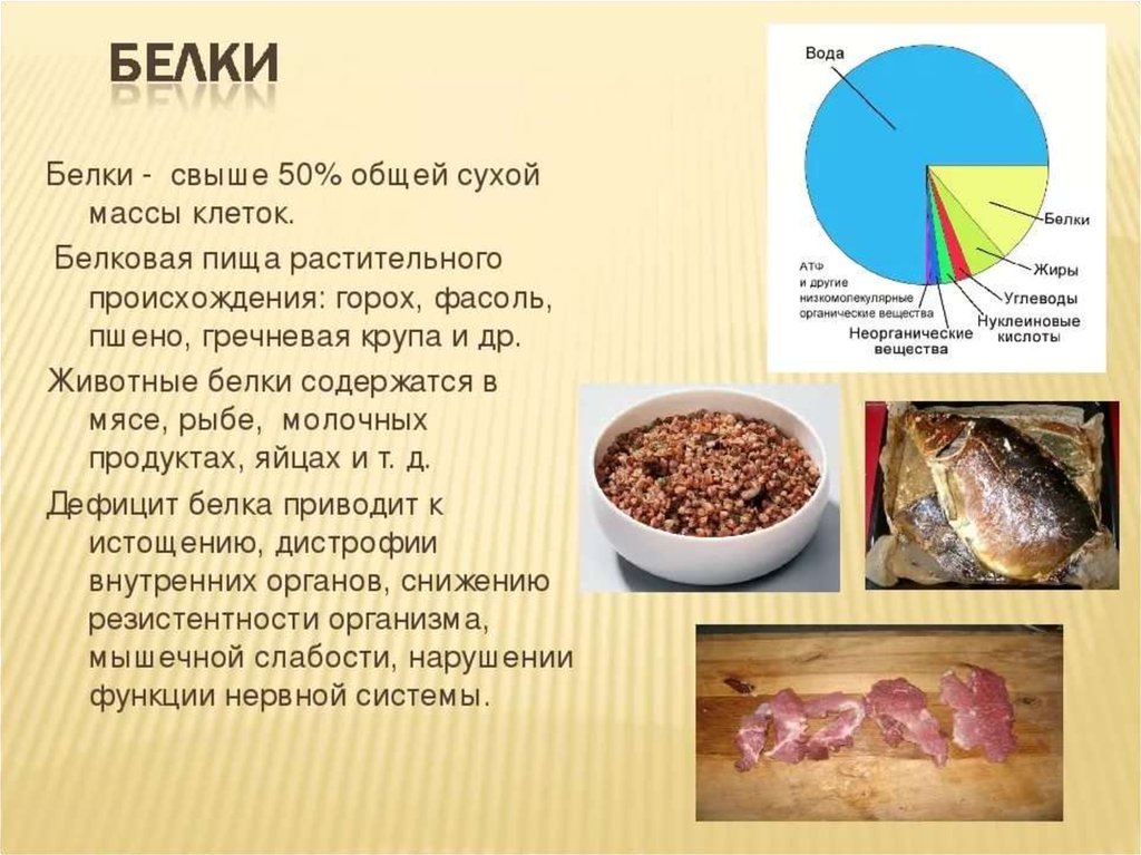 Почему нельзя есть белки с кашами