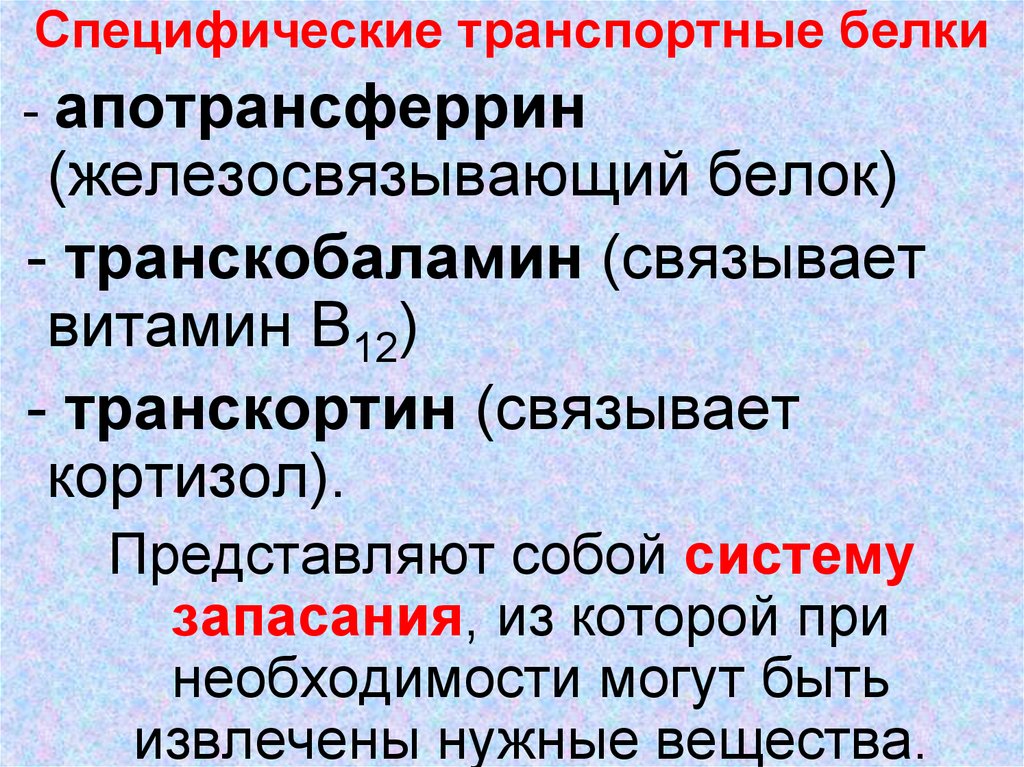 белки нервной ткани специфические белки. специфичность первичной структуры белка. ферменты это. специфические транспортные белки. специфические белки.