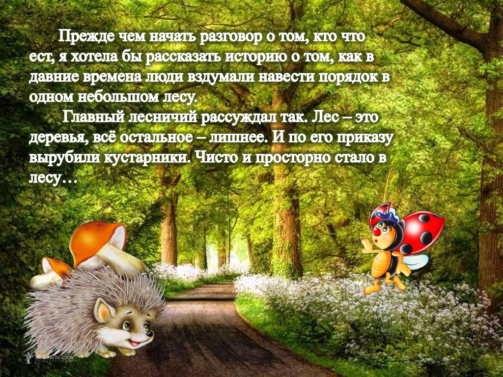 Прежде чем начать разговор о том, кто что ест, я хотела бы рассказать историю о том, как в давние времена люди вздумали навести