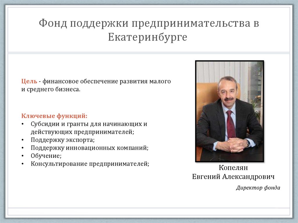 Фонд поддержки малого предпринимательства. Фонд поддержки предпринимательства. Фонд поддержки предпринимательства Екатеринбург. Фонды поддержки малого и среднего бизнеса.