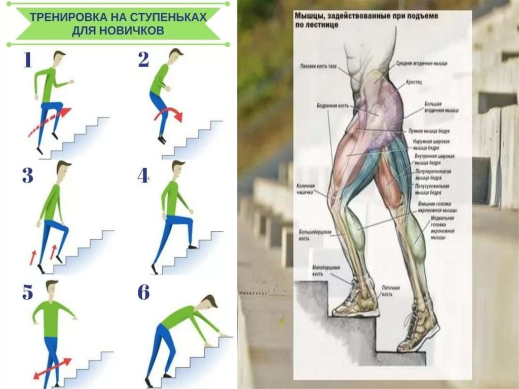 Подъемы на высокую ступень. Упражнение ступеньки. Тренировка на ступеньках. Поднятие на ступеньку упражнение. Упражнения со ступенькой для похудения.