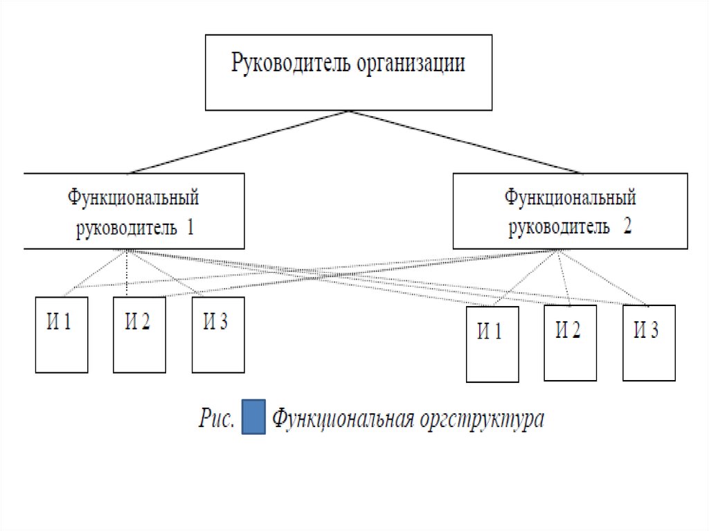 Организационные связи могут быть. Типы совместной деятельности в организации. Организационная характеристика предприятия. Функциональными руководителями являются.