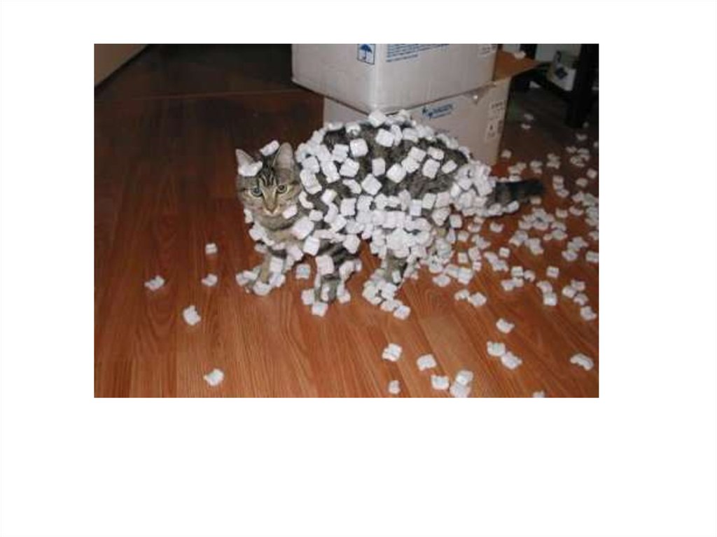 Διαφάνεια 13