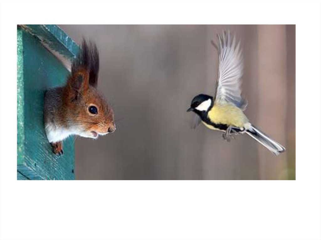 Διαφάνεια 17