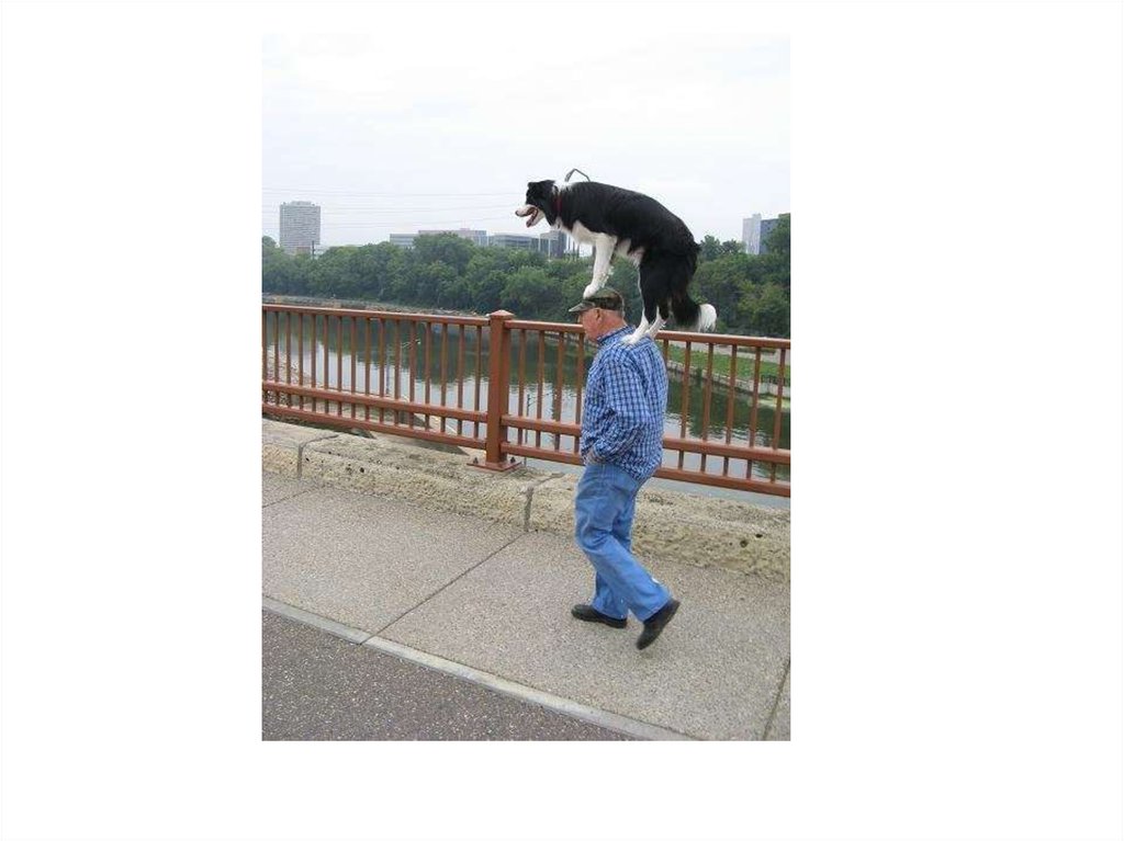 Διαφάνεια 18