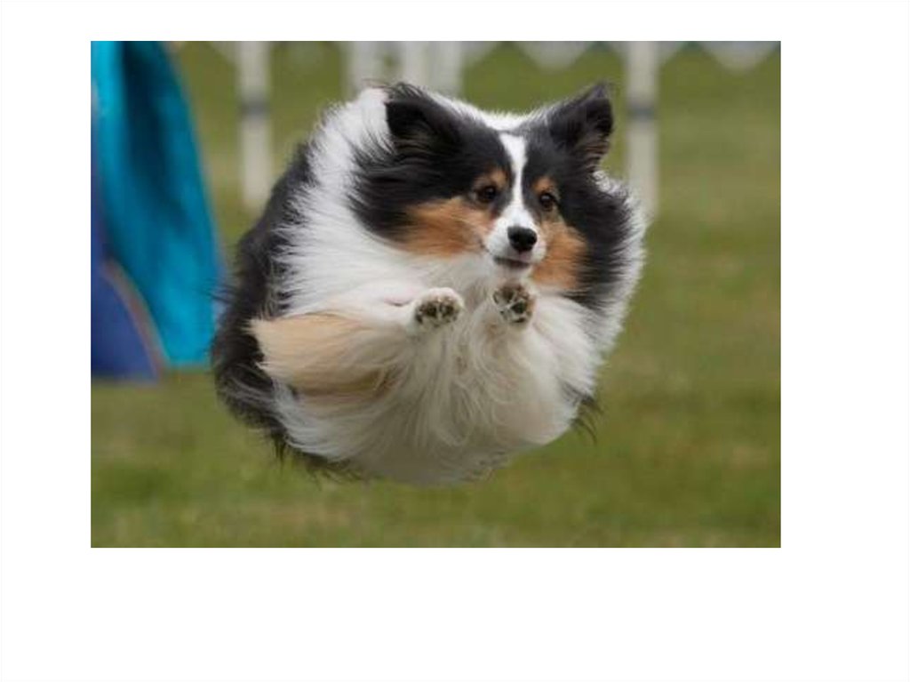 Διαφάνεια 19