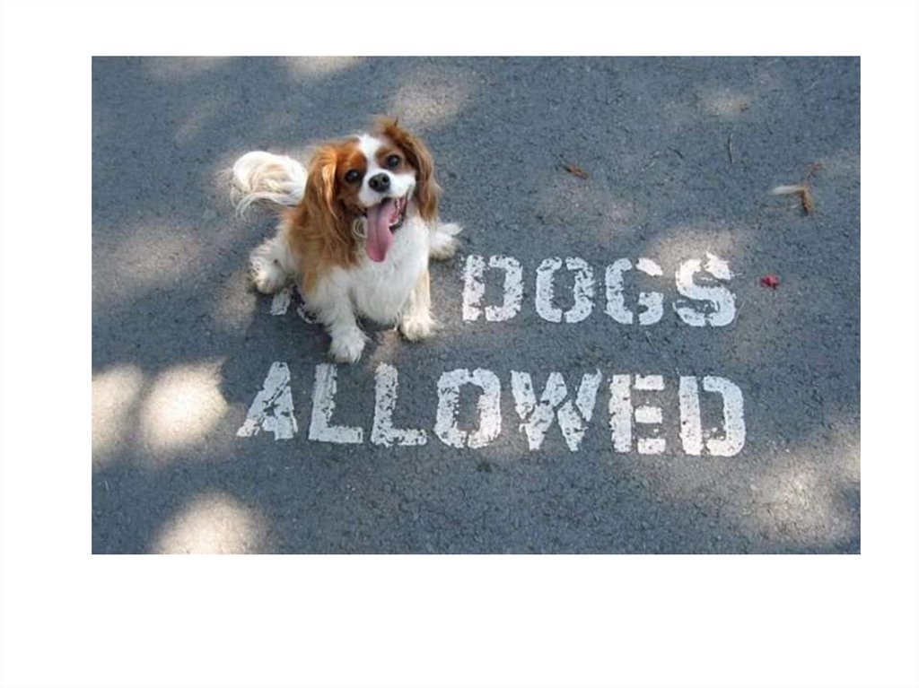 Διαφάνεια 20