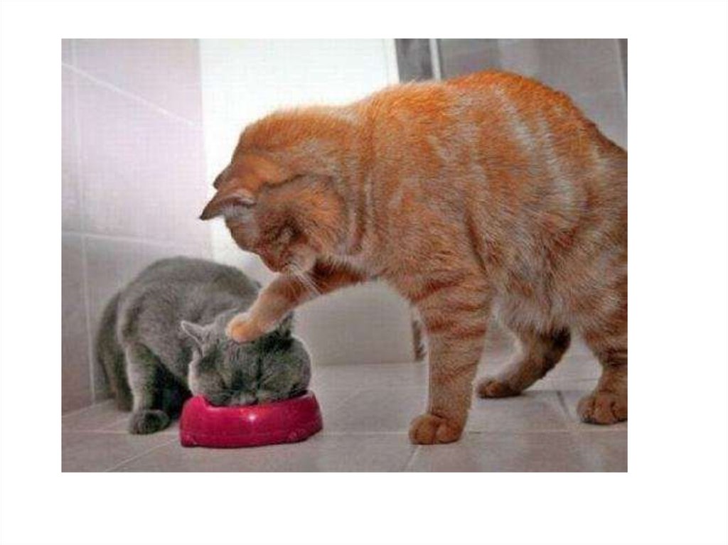 Διαφάνεια 21