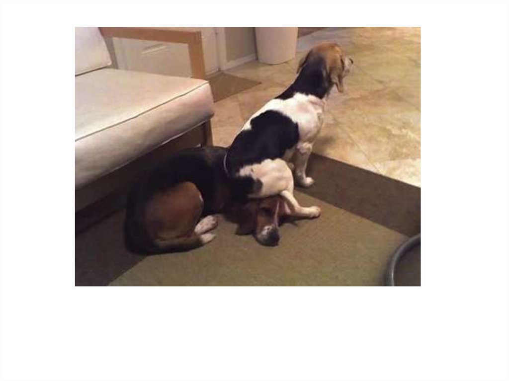 Διαφάνεια 6