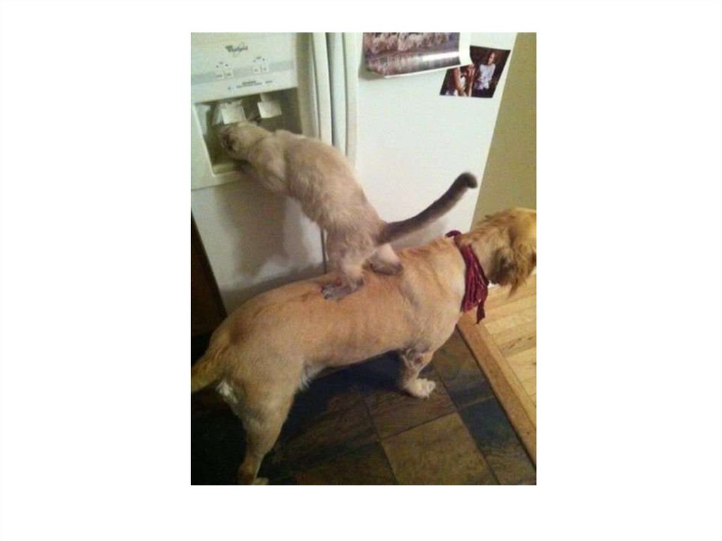 Διαφάνεια 10