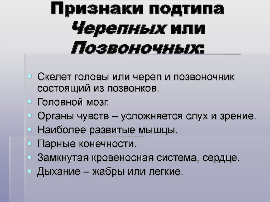 Тип хордовые подтипы бесчерепные и черепные или позвоночные 7 класс презентация