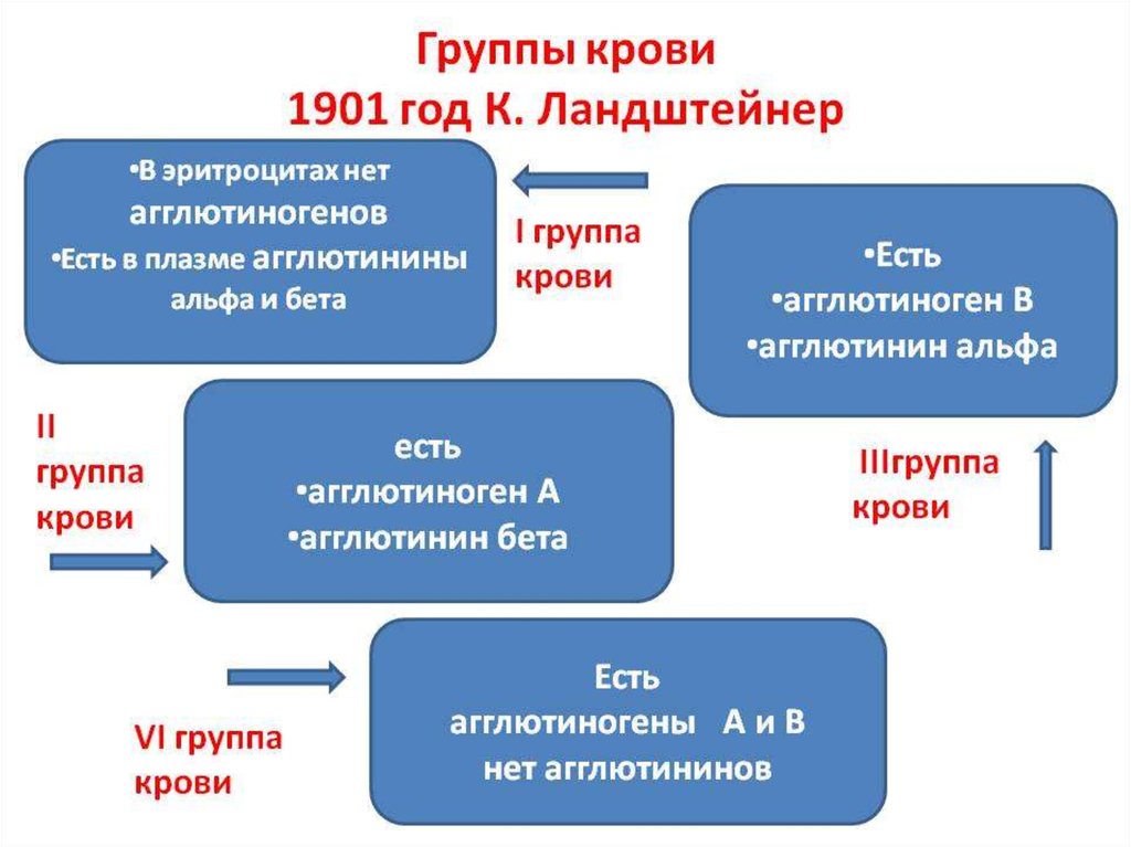 Открытие групп крови презентация