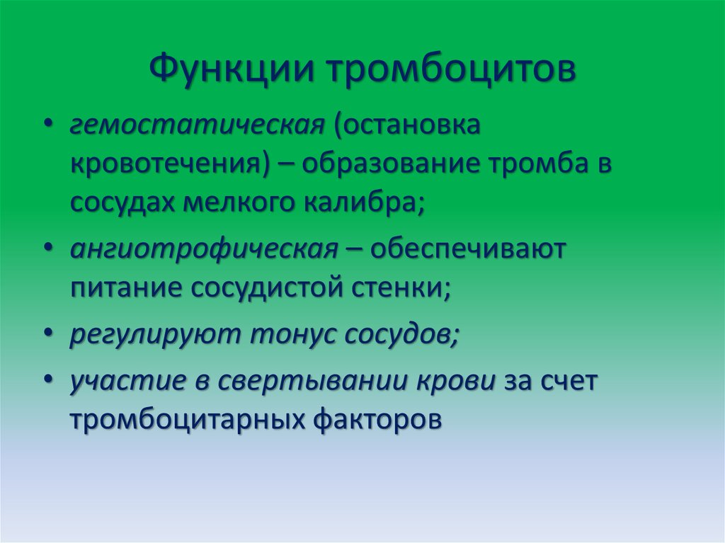 Функции тромбоцитов