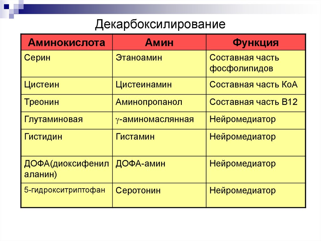 Функции белков в обмене веществ