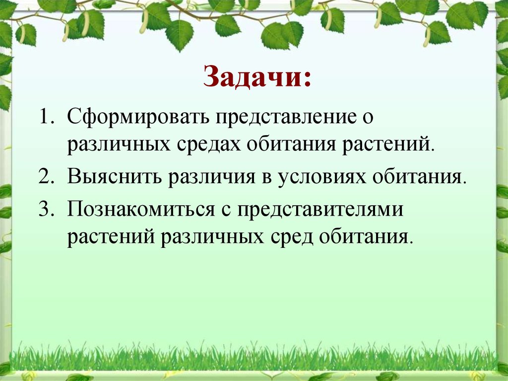 Задачи растения. Растения и их среда обитания. Условия обитания растений. Среда обитания растений 5 класс. Растения различных обитаниях.