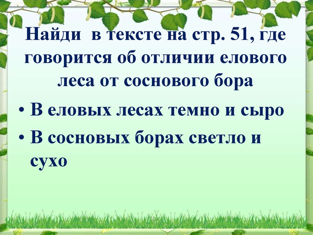 Текст еловый лес. Слова на тему среда обитания. В еловом лесу текст. Найди и исправь ошибки еловый лес. Найди растения в тексте.