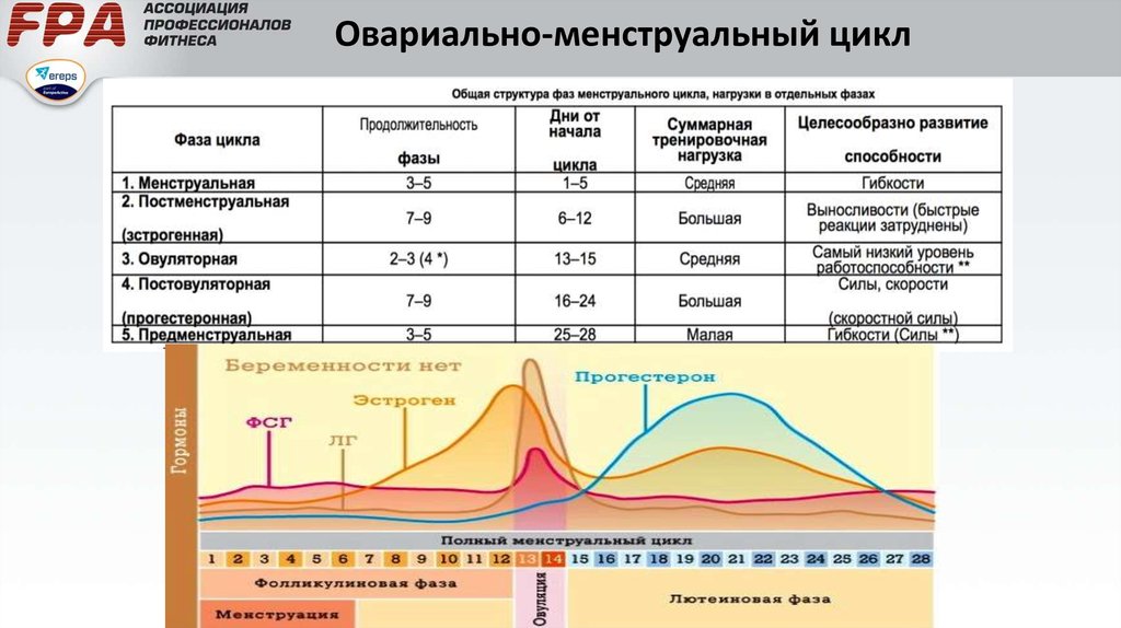 Дни цикла какая фаза. Уровни гормонов в разные фазы менструального цикла. Гормоны при овариально-менструационного цикла. Фазы менструационного цикла названия таблице. Гормональные фазы менструационного цикла.