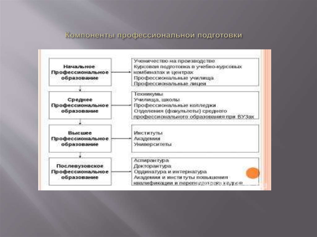 Система профессиональной подготовки