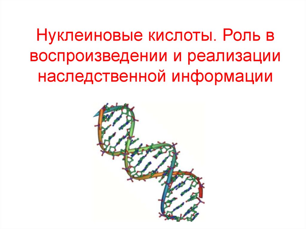 Наследственная информация. Роль РНК В реализации наследственной информации. Нуклеиновые кислоты и их роль. Роль ДНК В реализации наследственной информации.. Роль в реализации наследственной информации