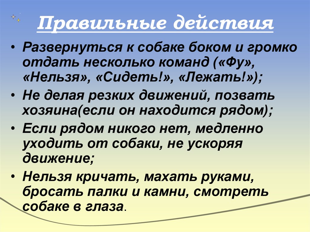 Развернувшемся действие. Правильные действия. Громко отдать несколько команд («фу», «нельзя», «сидеть». Действия разворачиваются. Как делать правильные действия.