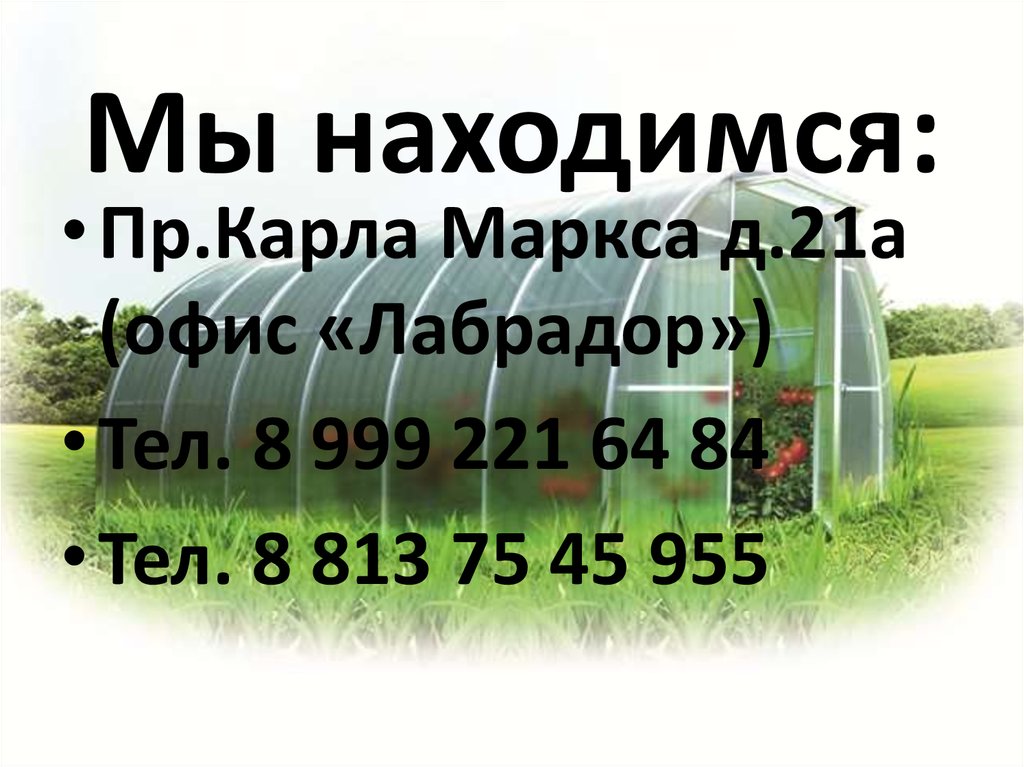 Мы находимся: