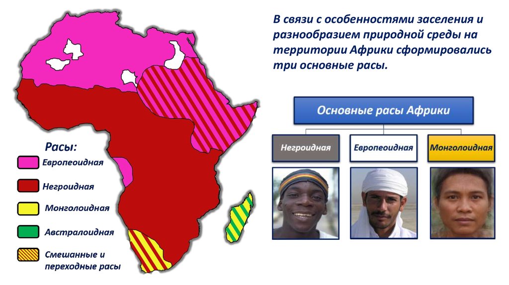 Политическая карта и население африки 8 класс