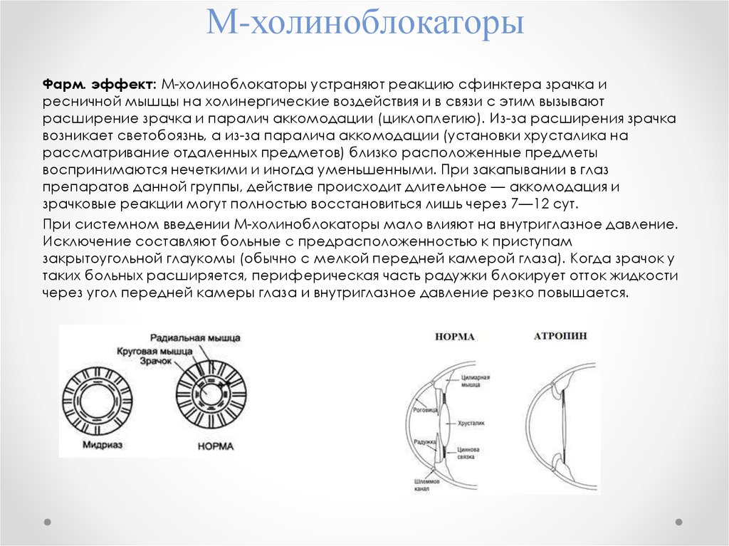 Используя рисунок объясните действие холиноблокаторов на глаз и механизм сопутствующих эффектов