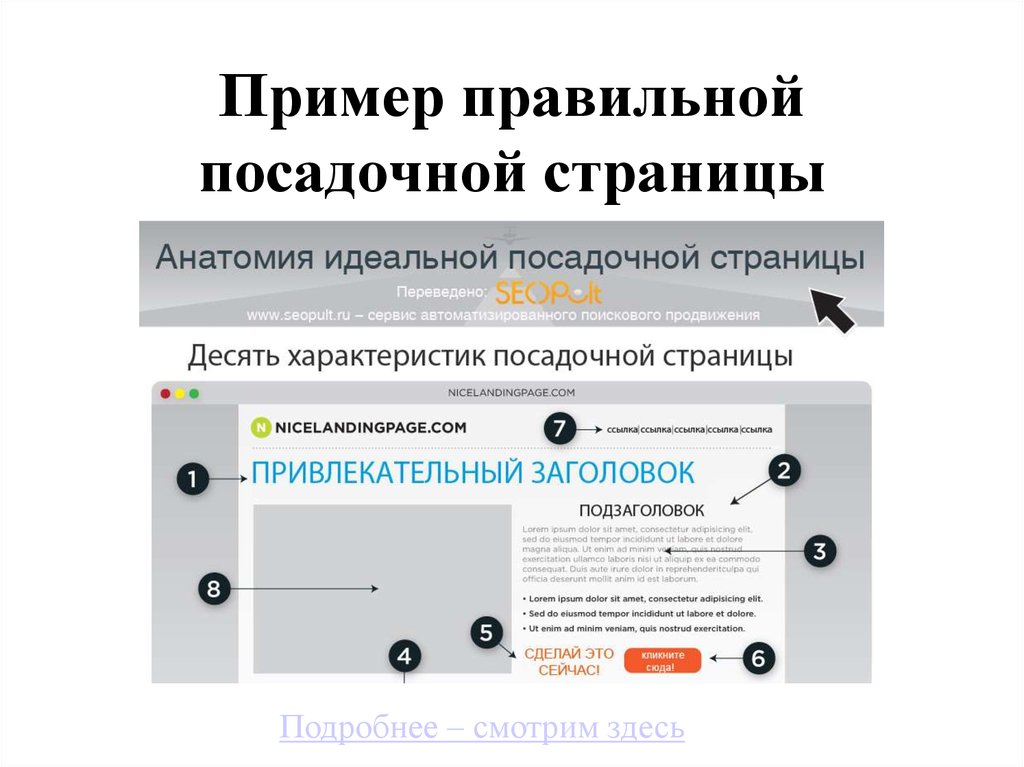 Правильные новости сайт