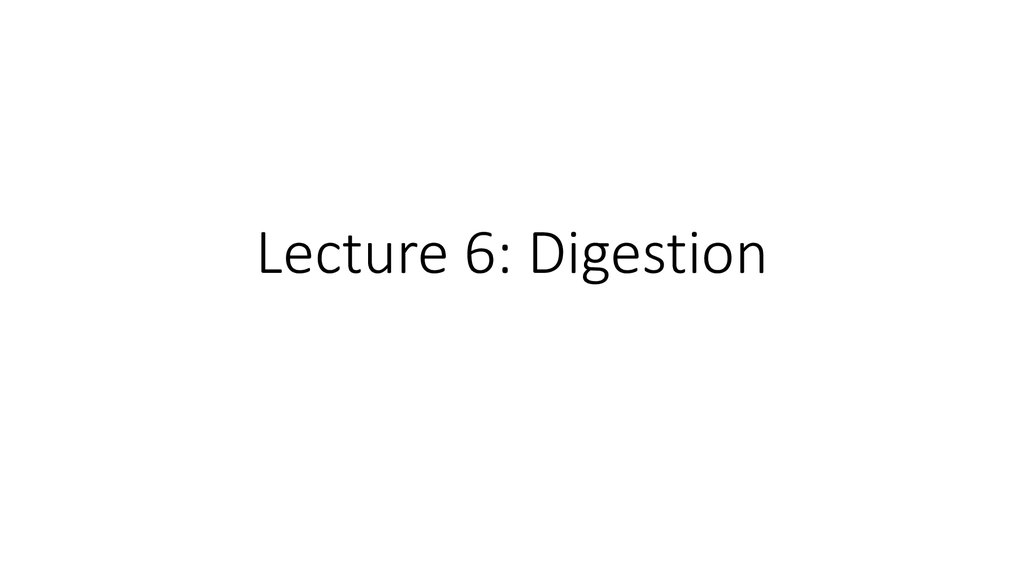 Lecture 6: Digestion