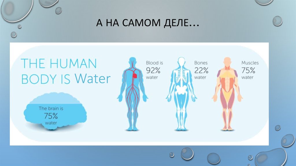 За счет чего вода Биовита сразу усваивается в нашем организме. The percentage of Minerals in Human body.