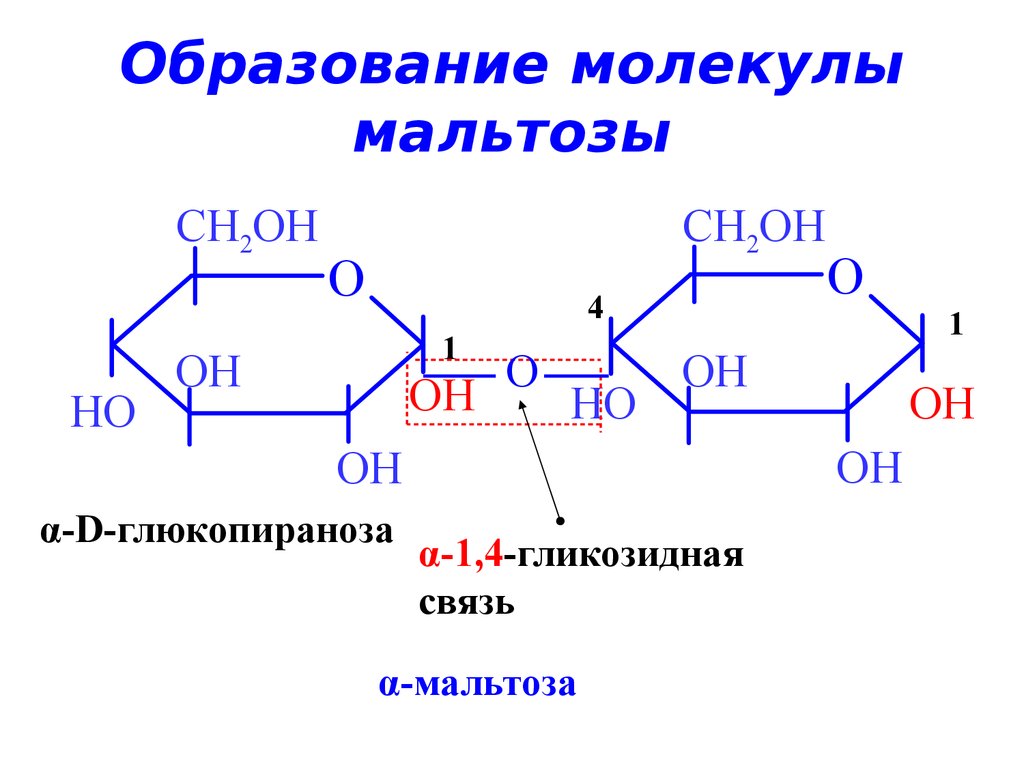 Мальтоза для человека