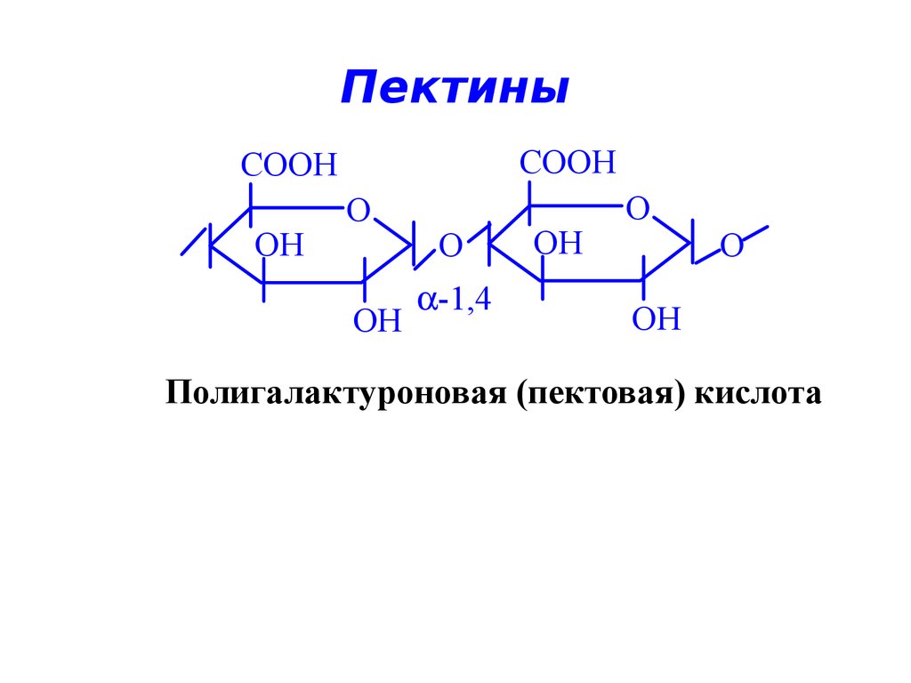 Схема гидролиза полисахаридов