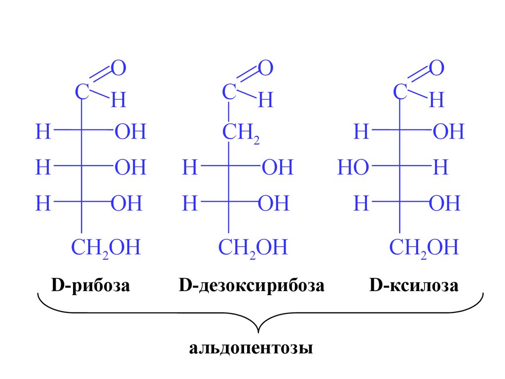 Строение рибозы. Д рибоза формула. Ксилоза структурная формула. Структура формула рибозы. D-ксилоза.